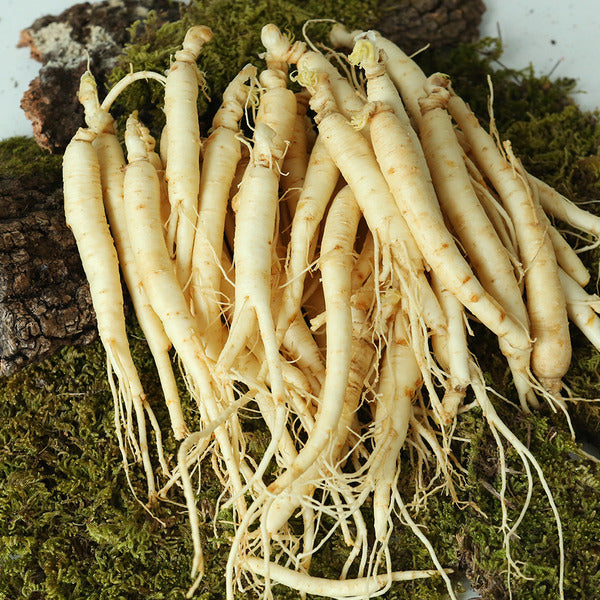 KTR Alpha Shopping Direct from Farm Geumsan Golden Farm Washed Ginseng (Small Roots) 700g for Samgye