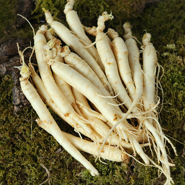 KTR Alpha Shopping Farm Direct Geumsan Golden Farm Washed Ginseng for Samgyetang/Galbitang (Small) 7