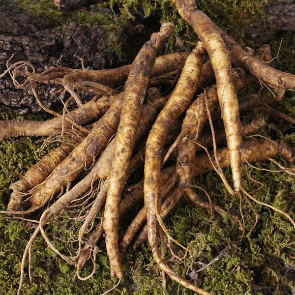 KT Alpha Shopping Geumsan Golden Farm Ginseng (Small) 750g for Samgyetang/Galbitang