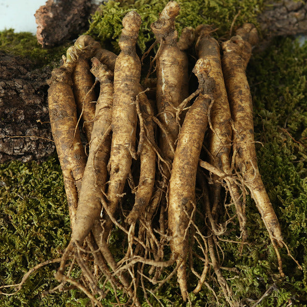 KT Alpha Shopping Direct from Farm Geumsan Hwanggeum Farm Ginseng (Medium) 750g for Samgyetang/Galbi