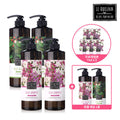 Rukylaya Rukylaya Scalp Shampoo 810ml x 5 + Sample 7ml x 5
