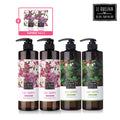 Rukyaya Scalp Shampoo 810ml x 4 + Sample 7ml x 2