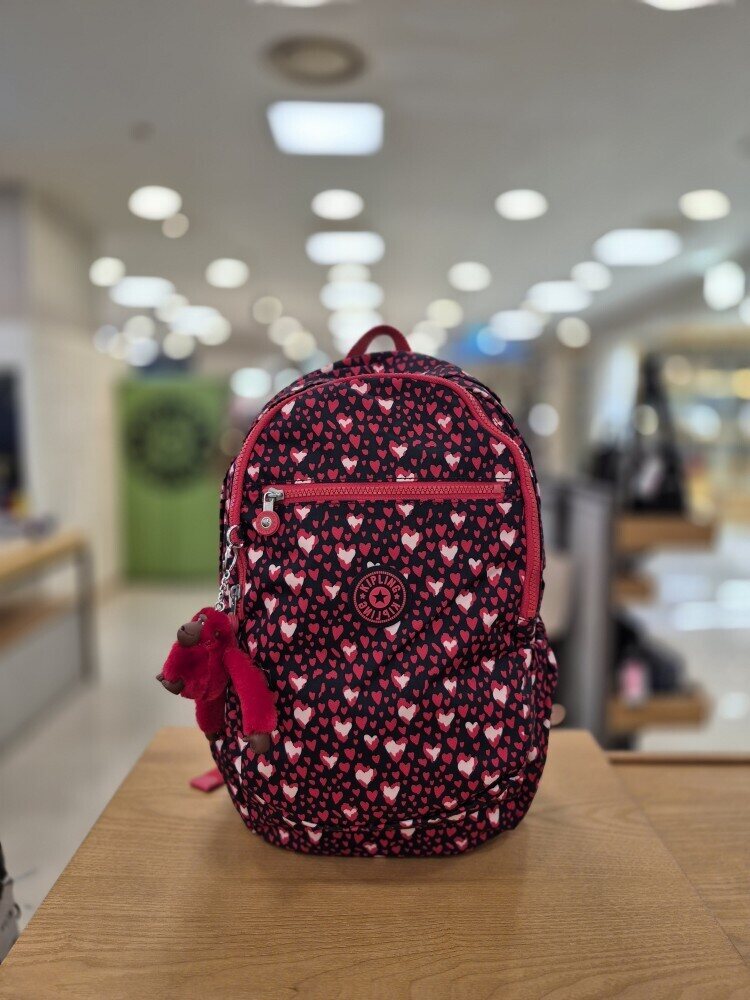 Kipling Casual Picnic Bag Bley KKDBA01 HTFTESC