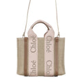 Claro Shoulder Bag for Women (C23AS397 L17 26Y)