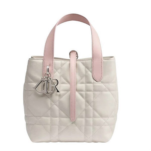 Dior Toujours Small Vertical Tote Bag M2835PSOBM19I