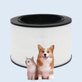 KatyAlphashopping Lung SPF PURIPET HEPA Cylinder AS300DNPA AS309DNP