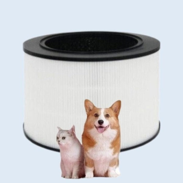 KatyAlphaShopping Lung Removal HEPA Air Purifier Compatible Filter AS309DNP