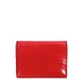 BRANDON Wallet (F281 0005)