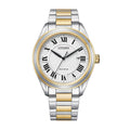 Citizen AW1694-50A Arezzo Eco-Drive Men's Two-Tone Metal Watch