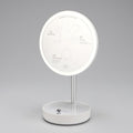 DMC Stand LED Mirror (Storage Type) with Magnet (5x Magnification) (14326749)
