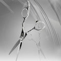 Emtucor Korea beauty scissors hair salon haircut剪刀 (37722953)