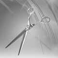 Emtucore Beauty Scissors Haircut剪裁 6.75in (37722956)
