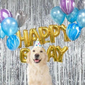 Lightwave Party Surgery Card Set Event Balloons Birthday Balloons Party Supplies Pet Balloons (38788