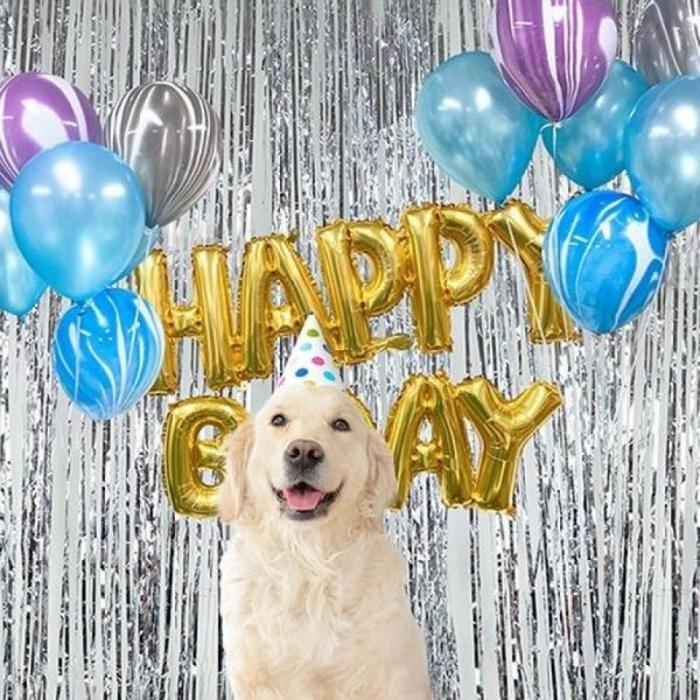Lightwave Party Surgery Card Set Event Balloons Birthday Balloons Party Supplies Pet Balloons (38788