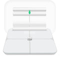 Mountain God Precision Smart Analysis Body Fat Digital Scale Muscle Water (35131187)