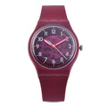 Raplima Swatch SO28R115 Unisex Watch