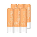 Amway Age Defy Lip Night 4g x 6 (49503041)