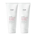 Atmeri Silky Repair Wash Treatment 200ml x 2 (49503614)