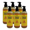 KatieAlphaShopping [Mamicear] Aesabi Cleanser Cleansing 200ml x 6 packs -AO-